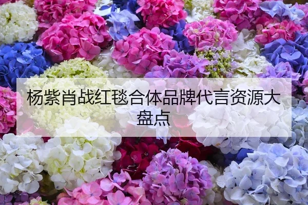 杨紫肖战红毯合体品牌代言资源大盘点